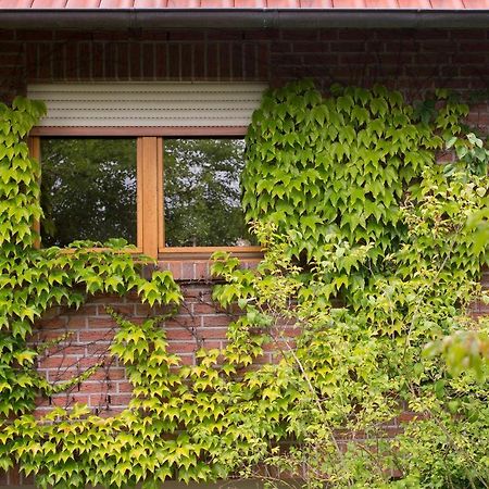 Ferienwohnung Meinersen Eksteriør billede