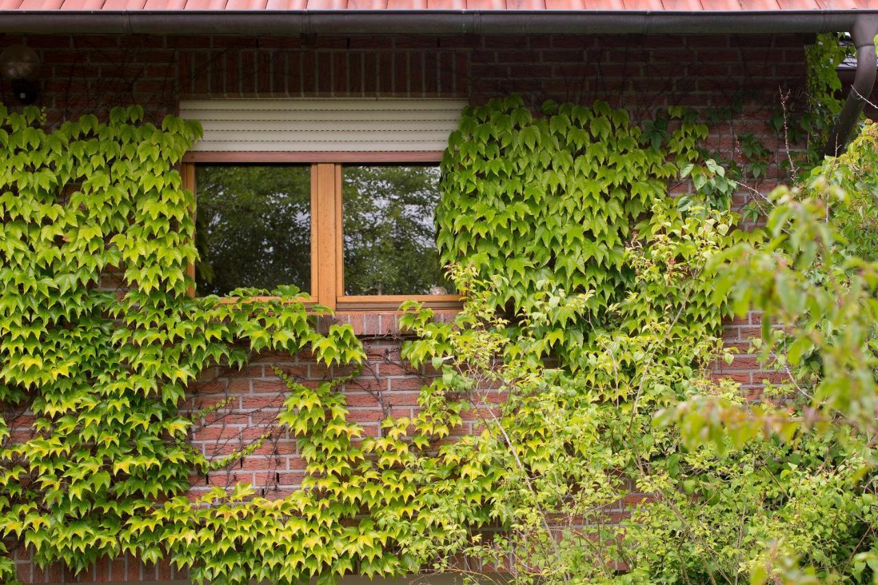 Ferienwohnung Meinersen Eksteriør billede